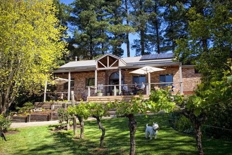 Main Ridge Estate - Accommodation Newcastle 2