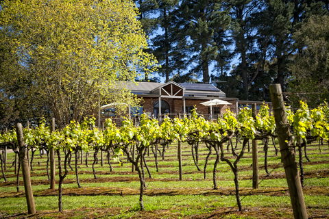 Main Ridge Estate - Accommodation Newcastle 3