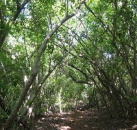 Eucalypt Trail - Accommodation Newcastle