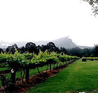 Cambewarra Estate Wines - Accommodation Newcastle