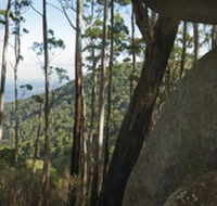 Gulaga National Park - Accommodation Newcastle