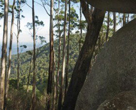 Gulaga National Park - Accommodation Newcastle 0