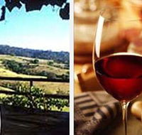 Jasper Valley Wines and Vines Cafe - Accommodation Newcastle