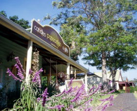 Passionfish Candles - Accommodation Newcastle 0
