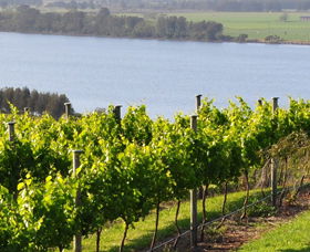 Two Figs Winery - Accommodation Newcastle 0