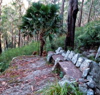 Wodi Wodi Walking Track - Accommodation Newcastle