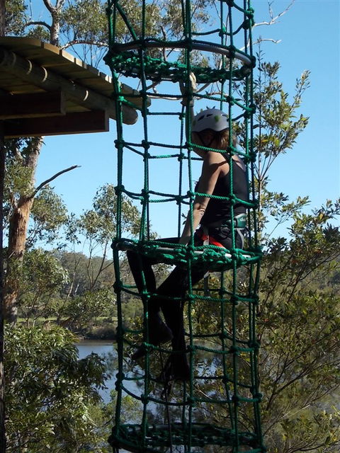 Trees Adventure Shoalhaven - Accommodation Newcastle 0