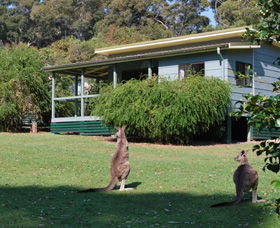 Murramarang National Park - Accommodation Newcastle 0