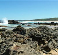 Coastal Walks - Bermagui - Accommodation Newcastle