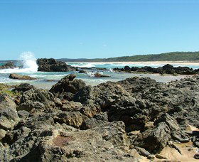 Coastal Walks - Bermagui - Accommodation Newcastle 0