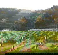 Tilba Valley Wines - Accommodation Newcastle