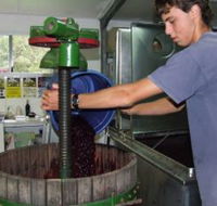 Fern Gully Winery - Accommodation Newcastle