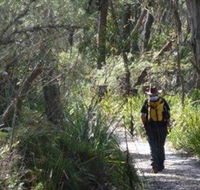Barren Grounds Nature Reserve - Accommodation Newcastle