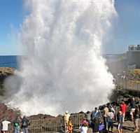 Kiama Blowhole - Accommodation Newcastle