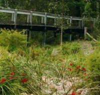 Eurobodalla Botanic Gardens - Accommodation Newcastle