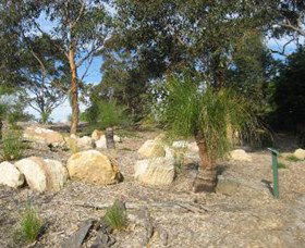 Curtis Park Arboretum - Accommodation Newcastle 0