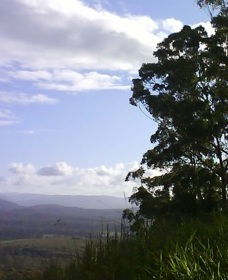 Sherwood Nature Reserve - Accommodation Newcastle 0