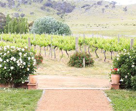 Brindabella Hills Winery - Accommodation Newcastle 0