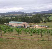 Villa d Esta Vineyard - Accommodation Newcastle