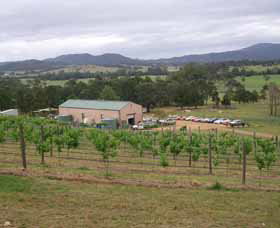 Villa D Esta Vineyard - Accommodation Newcastle 0