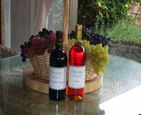Villa D Esta Vineyard - Accommodation Newcastle 2