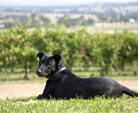 Moothi Estate Vineyard And Cellar Door - Accommodation Newcastle 0