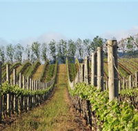 Philip Shaw Wines - Accommodation Newcastle