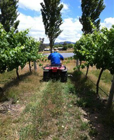 Heifer Station - Accommodation Newcastle 2
