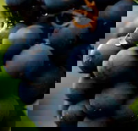 Swinging Bridge Estate - Accommodation Newcastle