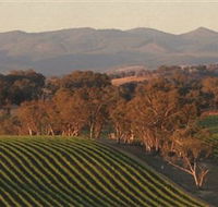 Angullong Wines - Accommodation Newcastle