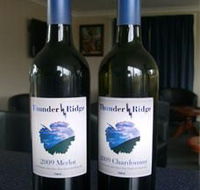 Thunder Ridge Wines - Accommodation Newcastle