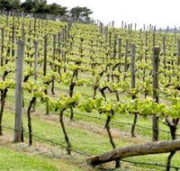 Bantry Grove - Accommodation Newcastle