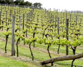 Bantry Grove - Accommodation Newcastle 0