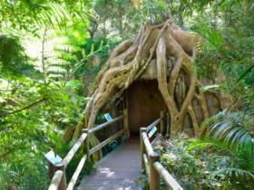 Cedar Creek Estate Vineyard And Winery - Accommodation Newcastle 1