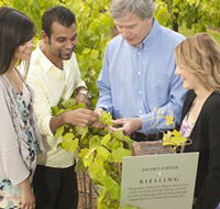 Jacob's Creek Vineyard Tour - Accommodation Newcastle