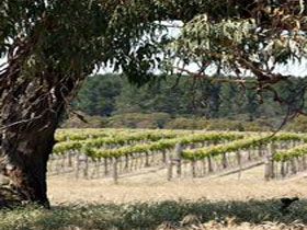 Wangolina Station - Accommodation Newcastle 3