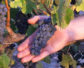 Eagles Rise Wine - Accommodation Newcastle 0