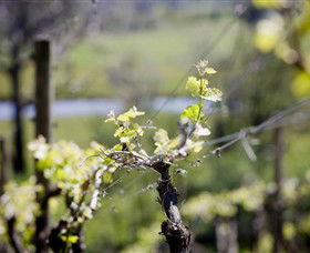 Galli Estate Winery - Accommodation Newcastle 0