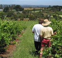 Sir Paz Estate - Accommodation Newcastle