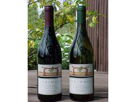 North Esk River Vineyard - Accommodation Newcastle 0