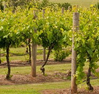 Mt Coghill Vineyard - Accommodation Newcastle
