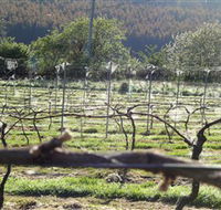 Three Willows Vineyard - Accommodation Newcastle