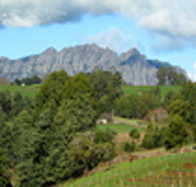 Lake Barrington Vineyard - Accommodation Newcastle