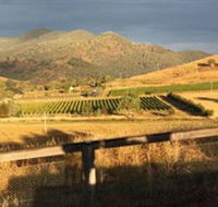 Optimiste Wines - Accommodation Newcastle