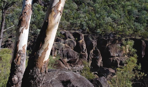 Macintyre Falls Lookout - Accommodation Newcastle 3