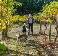 Little River Wines of Taggerty - Accommodation Newcastle