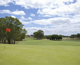 Curlewis Golf Club - Accommodation Newcastle 1