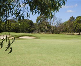 Curlewis Golf Club - Accommodation Newcastle 0