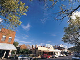Drysdale Cheeses - Accommodation Newcastle 1
