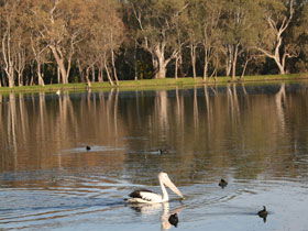 Drysdale Cheeses - Accommodation Newcastle 7